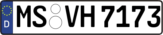 MS-VH7173
