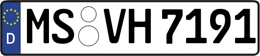 MS-VH7191