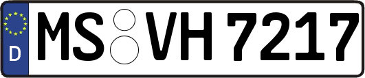 MS-VH7217
