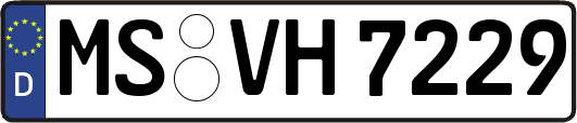 MS-VH7229