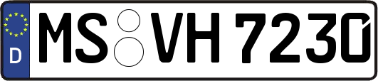 MS-VH7230