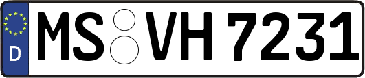 MS-VH7231