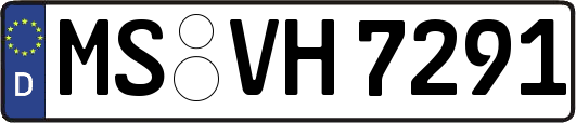 MS-VH7291