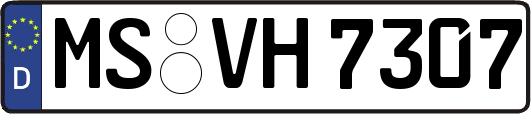 MS-VH7307