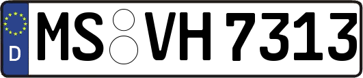 MS-VH7313
