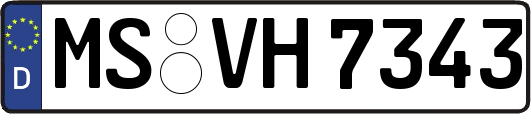 MS-VH7343