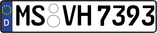 MS-VH7393