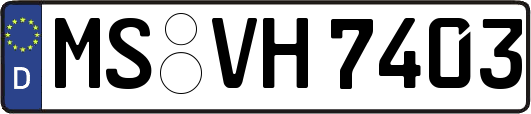 MS-VH7403