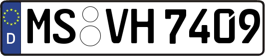 MS-VH7409
