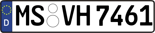 MS-VH7461