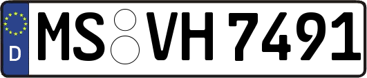 MS-VH7491