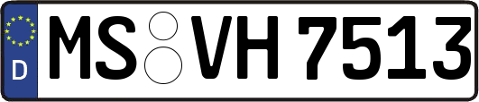 MS-VH7513