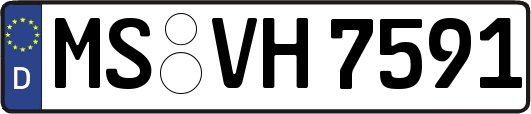 MS-VH7591