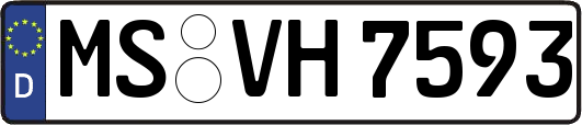 MS-VH7593