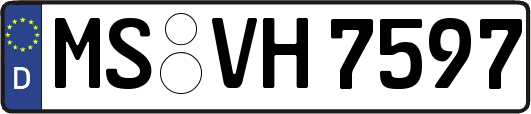 MS-VH7597