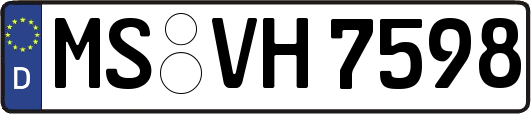 MS-VH7598