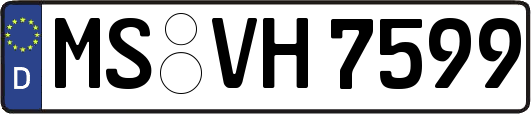 MS-VH7599