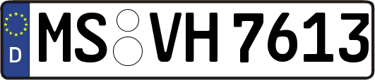 MS-VH7613