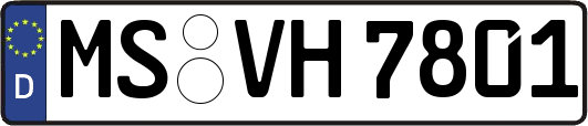 MS-VH7801