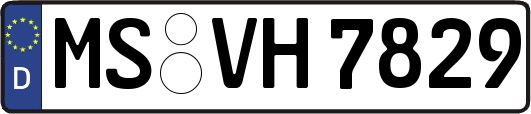 MS-VH7829
