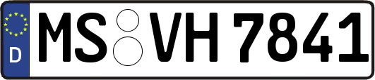 MS-VH7841