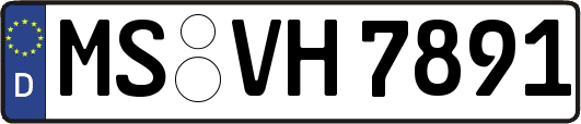 MS-VH7891