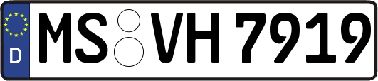 MS-VH7919