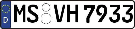MS-VH7933