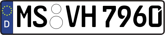 MS-VH7960