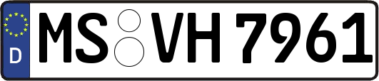 MS-VH7961