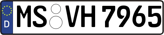 MS-VH7965