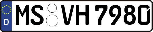 MS-VH7980