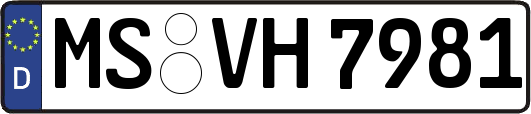 MS-VH7981