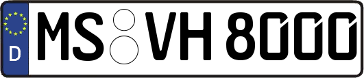 MS-VH8000