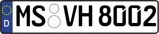 MS-VH8002