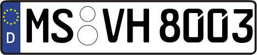 MS-VH8003