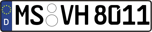 MS-VH8011