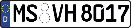 MS-VH8017