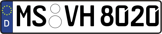 MS-VH8020