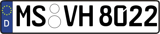 MS-VH8022