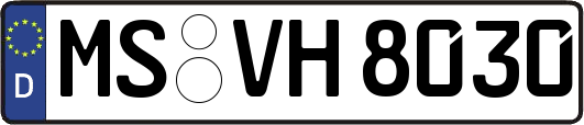 MS-VH8030