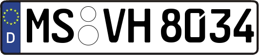 MS-VH8034