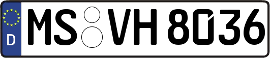 MS-VH8036