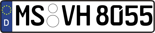 MS-VH8055