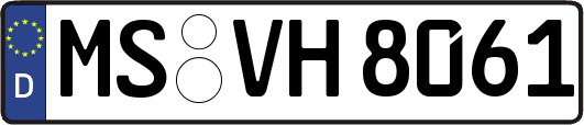MS-VH8061
