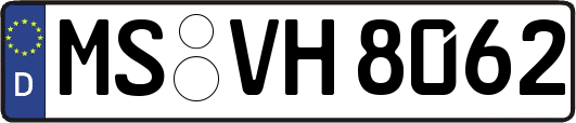 MS-VH8062