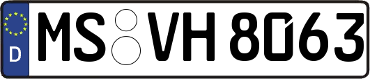 MS-VH8063