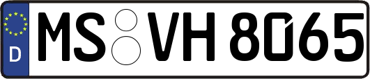 MS-VH8065