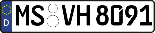 MS-VH8091