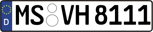 MS-VH8111